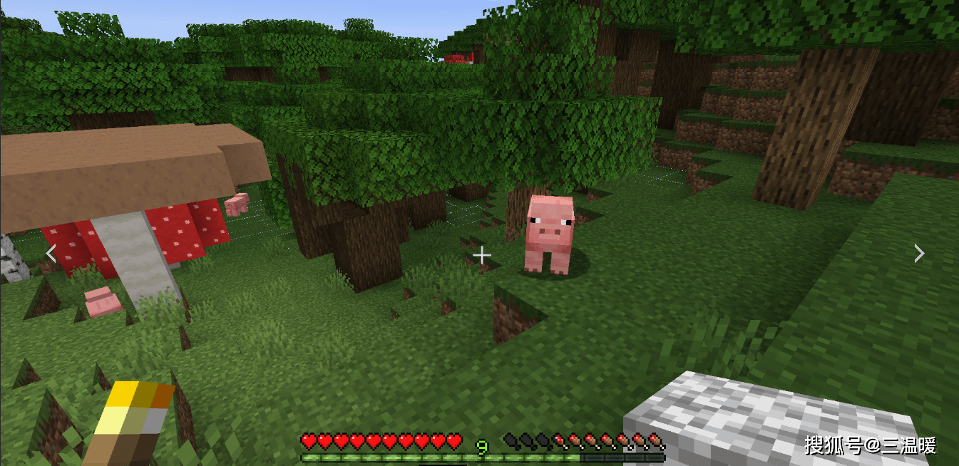 我的世界生存模式单人 6a8c6072edf94486b89f69514af8a687.png