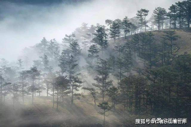 好天气可遇不可求,生活中或者旅行中,总能碰见大雾天.