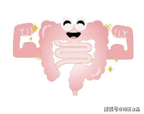 冬泽特医食品:肠内营养的理念以及治疗规范
