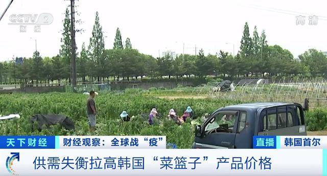 这个国家，1个西瓜100元！1公斤牛肉超500元！下半