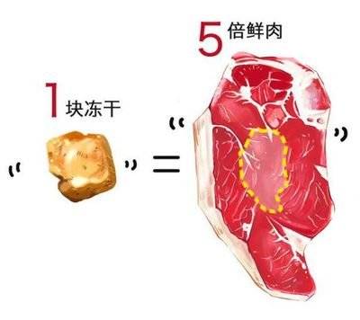 生骨肉是什么做的 8d954bcb69cf4fdb8fe0cda8885d8e0a.jpeg