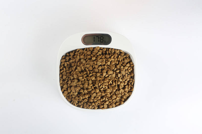 比较便宜的猫粮性价比高的 c2ba77a9ea1144a29e4a53581c39c394.jpeg