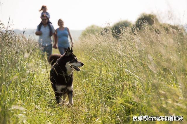 你需要知道的21条摄影泛亚电竞构图规则(图17)