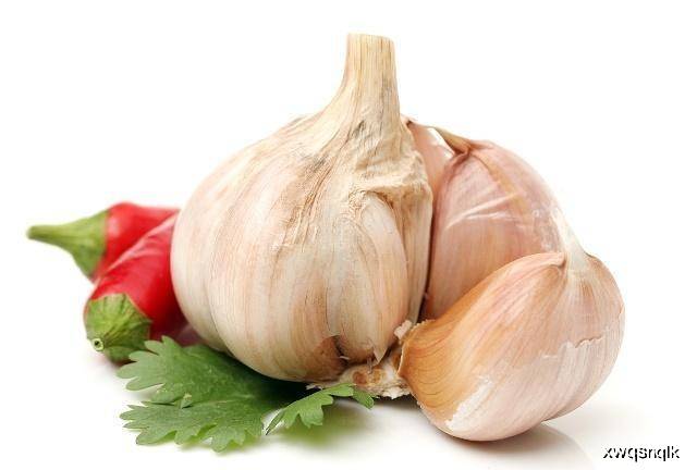 什么菜用大蒜 47f115ea81a54548bc9e18e0d8ec6bf9.jpeg