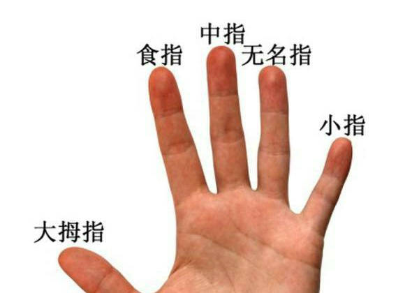 8a557ccdc667469c87aa7b6388bee883.jpeg