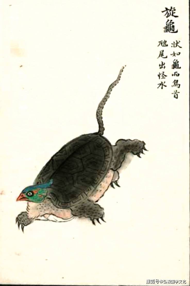 中华文化上古奇书《山海经》禽鸟类,多头人面动物