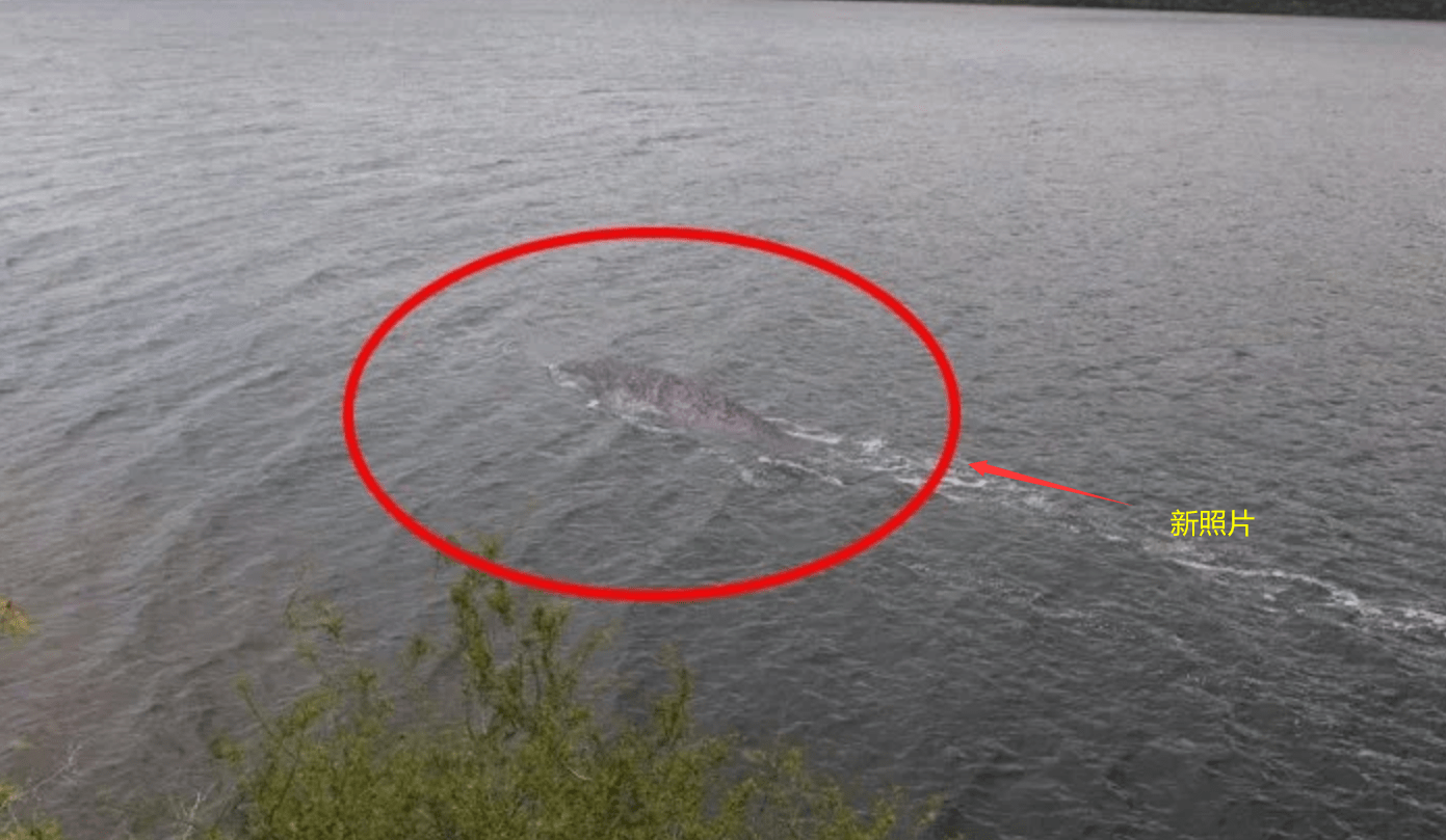 原创尼斯湖水怪新照片被公开水中露24米身影真相或越来越近