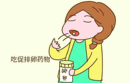 什么叫双非宝宝 4924ecec44914787bfc46a6a3c27035e.png