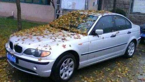 几个月的车子算是库存车 e535ce3e5b274526bf95233452b5e5f1.jpeg