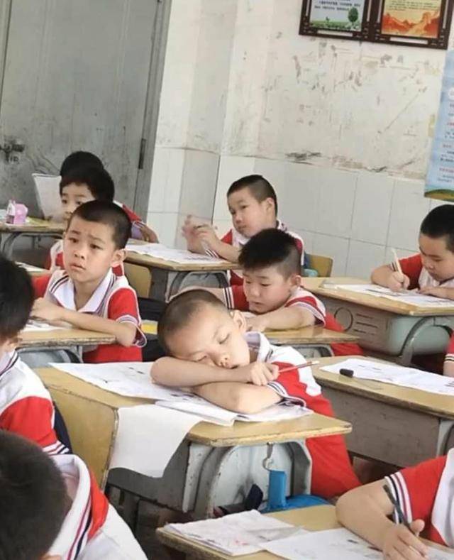 熊孩子考试睡觉被通知家长，结果考了第一名，网友：凭实力睡觉