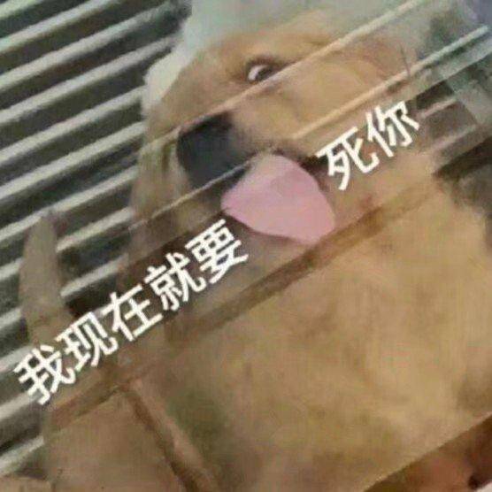 823c03c71ebb4a77af7e4922ef73a7e0.jpeg