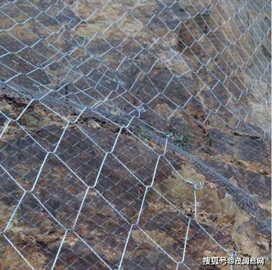 步步惊心的命运纠缠