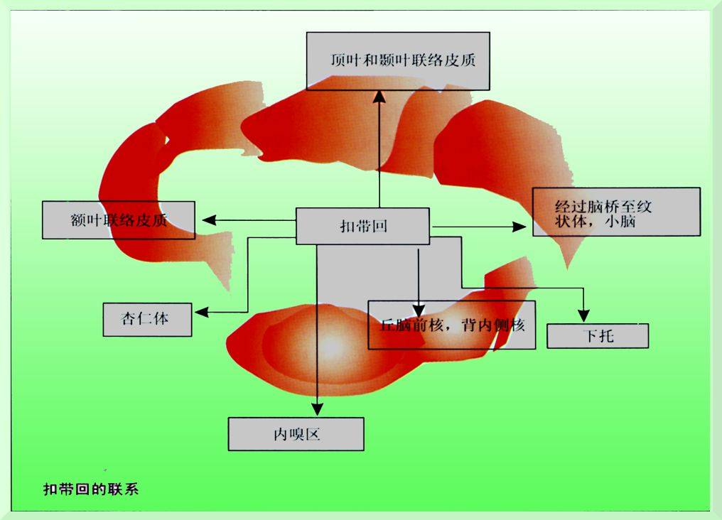 德意志意识形态阐述什么基本原理_德意志意识形态图片(3)