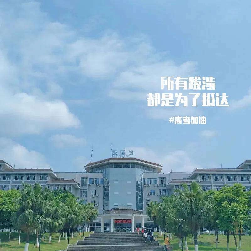 高考倒计时10天丨我在桂林旅游学院1 n人才培养项目等