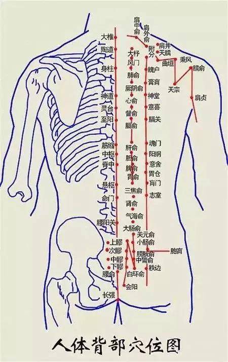 人体的背部有一条经络线,只要疏通它不知不觉中减轻或