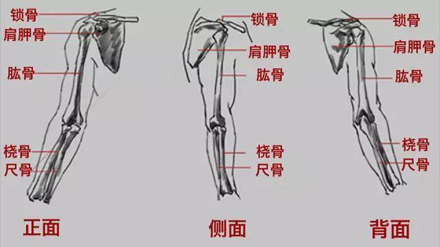 d33038106f594617b68059a871414c0c.jpeg