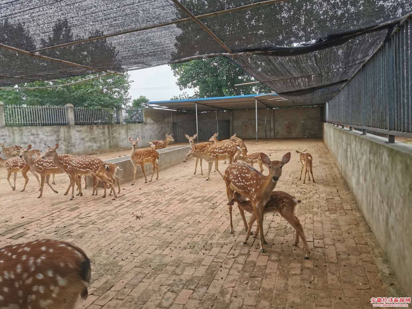 六安市农业gdp_六安市地图(3)