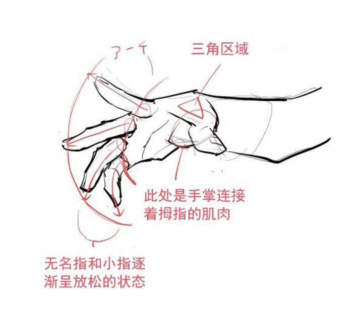 动漫人物的手部各种姿势画法