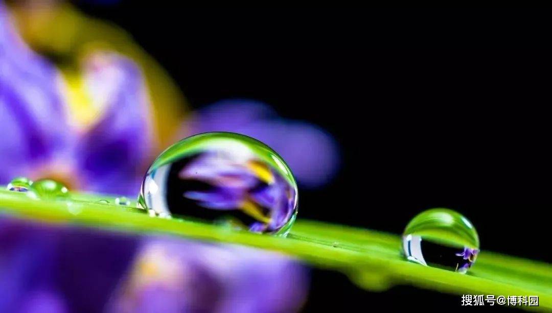 b500f62763314937af93dcc5a125a668.jpeg