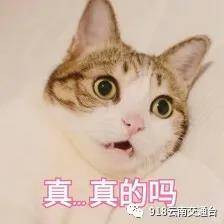 昆明车主发现车里被偷先发了个朋友圈,没想到