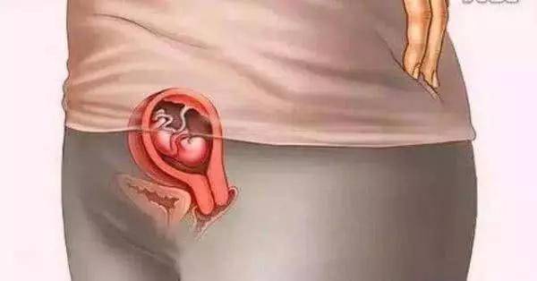 胎宝宝是怎么被孕育出来的十张图带你看孕育全过程