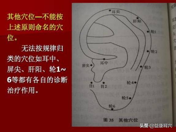 耳穴新知识:耳穴生物学物理学的研究,耳郭和经络传感的妙用