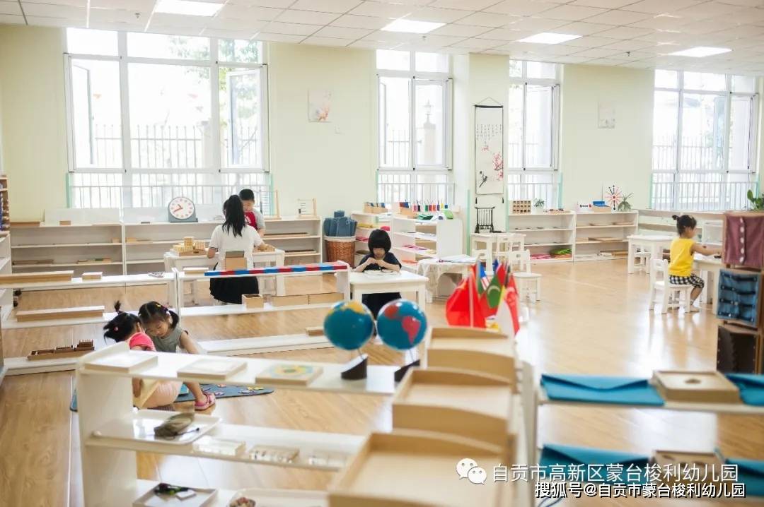 自贡市高新区蒙台梭利幼儿园——园所简介