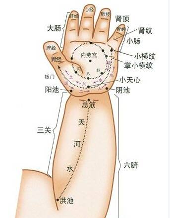 平肝:肝经穴在食指掌面,清肝经从食指指根推向指尖,每次300下.