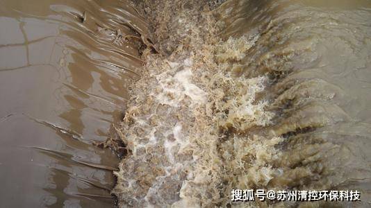 如何调整回流污泥量？污泥常见问题处理系列二