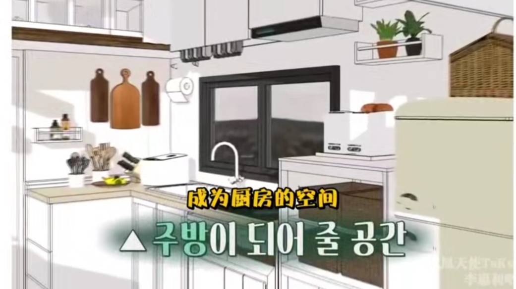 TVN最新神仙综艺！开播评分飙到8.7，搞笑又治愈