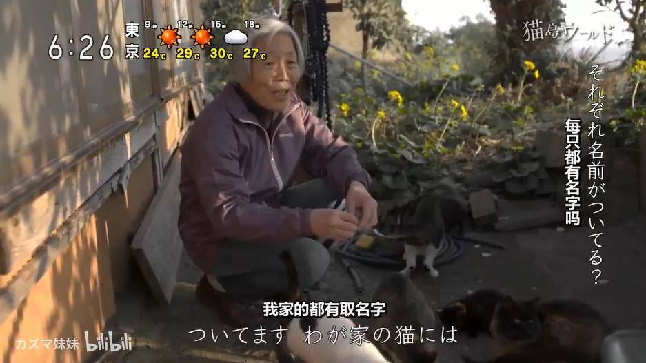 生活|吸了200只猫!”“我在一座与世隔绝的岛上