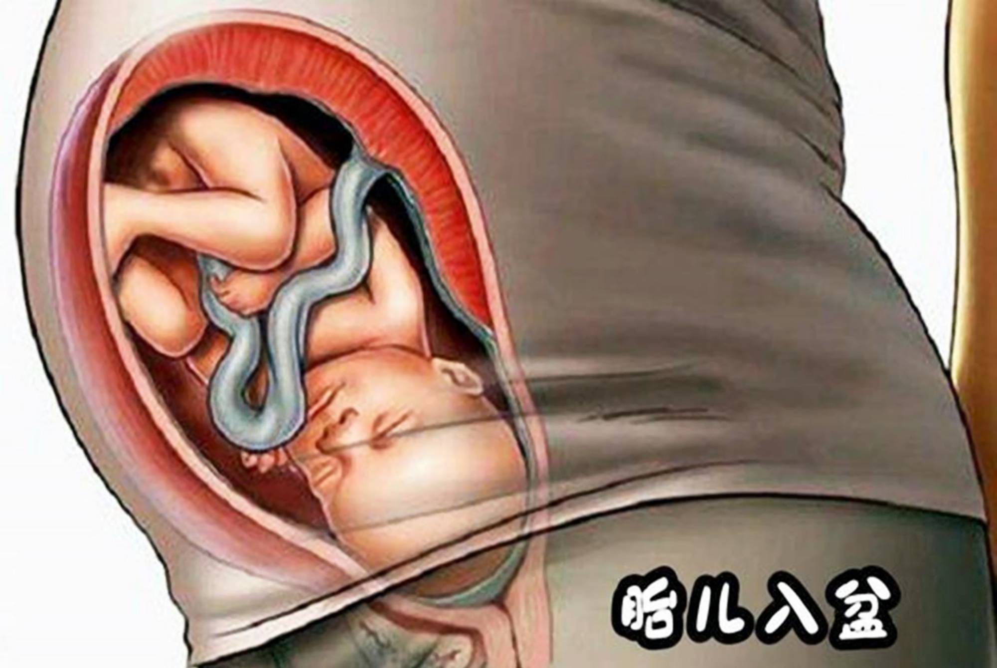 胎儿入盆是什么?有啥感觉?什么时候开始?待分娩知识一次讲透