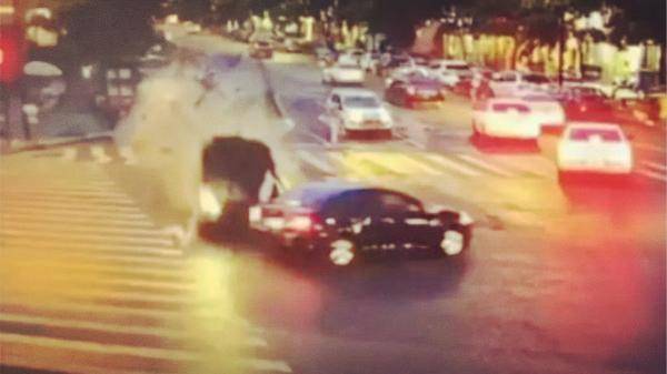 男子|5年花10余万没考过科目一：没读过书，不识字，到底该不该开车？