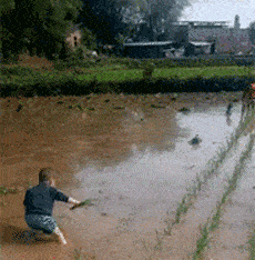 搞笑gif趣图:大妹子这机器人真是不错呀
