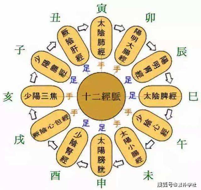 "太仓"之门户,使得精微物质能够正常出入于五脏六腑,五官九窍之中以