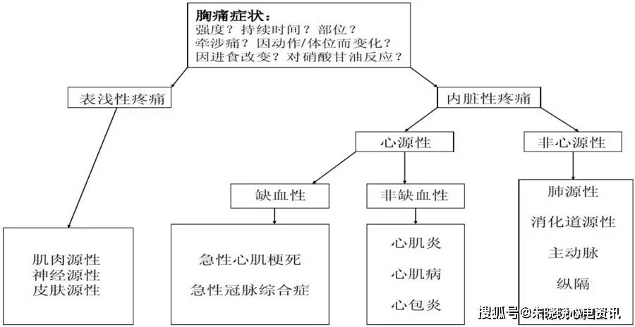 冯艳:急性胸痛的心电图诊断思路