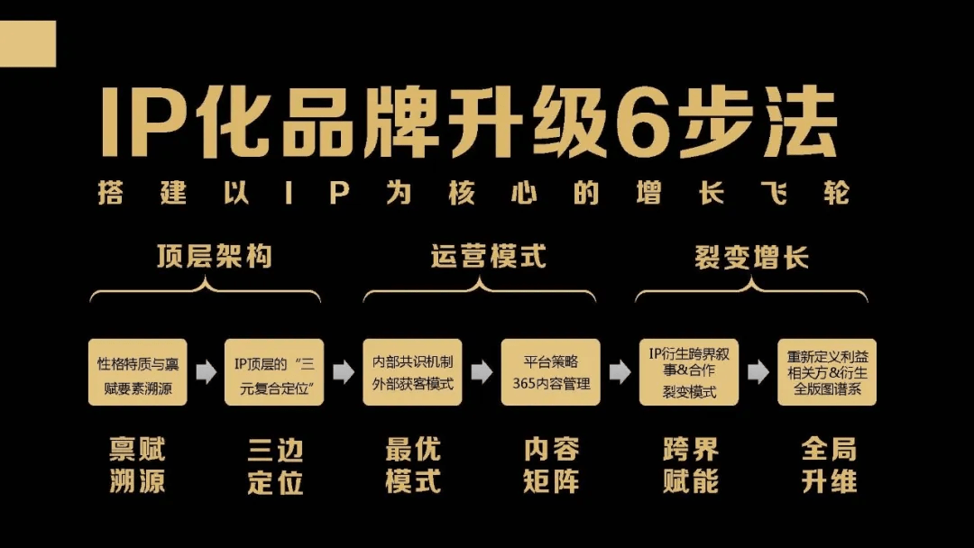 聊完ip构成,就该聊聊重头戏了,如何打造一个有着自生长逻辑的不惧动荡