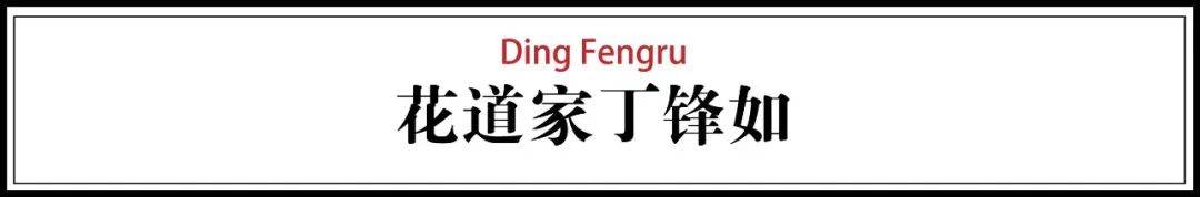 空间|原创他抛下公司不管,把破罐当宝,7年后成江南第一“花痴”