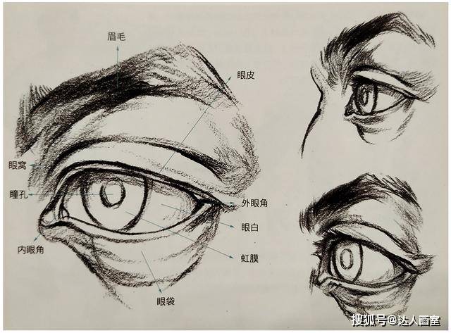 达人画室教学课件-人物速写五官眼睛的画法