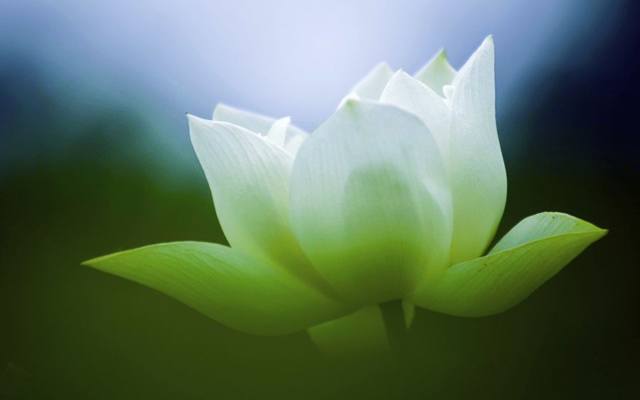 什么是贵人的说说 a6247f24e46a4ca3b78442c5f203e5d8.png