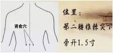 6488dcdd6f13420698b042f3e854387f.jpeg