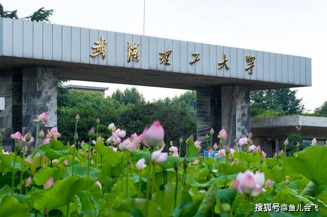 全国|武汉市排名前五大学太强了！武汉大学和华中科技大学谁排名第一？