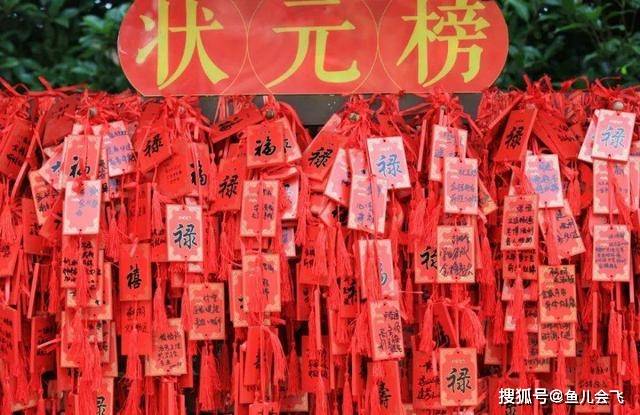 高三|高考倒计时2天，考生千万要注意安全被撞高三学霸女孩还没醒来