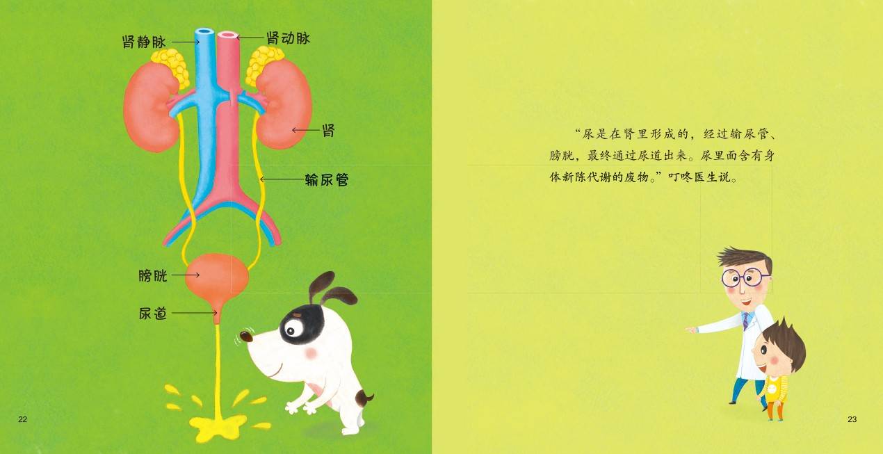 儿童绘本故事推荐《我不是尿床大王》