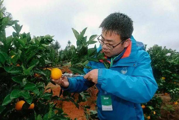 消息资讯|代餐食品市场:1200亿，巨头纷纷布局；美菜网:目前没有明确上市计划