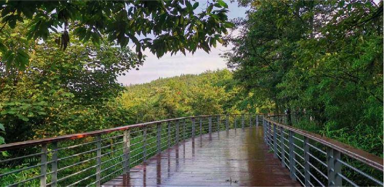 “我爱我家”作品大赛投票环节即将开启 万余元现金大奖等你拿