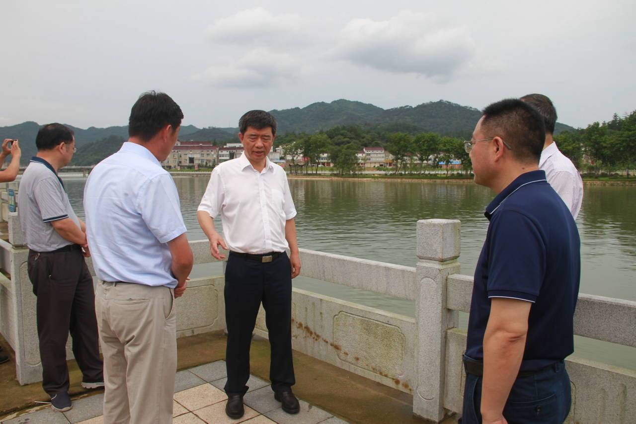 在河棚镇,孙云飞一行先后来到新开村,河棚村顺发蔬菜专业合作社,河棚