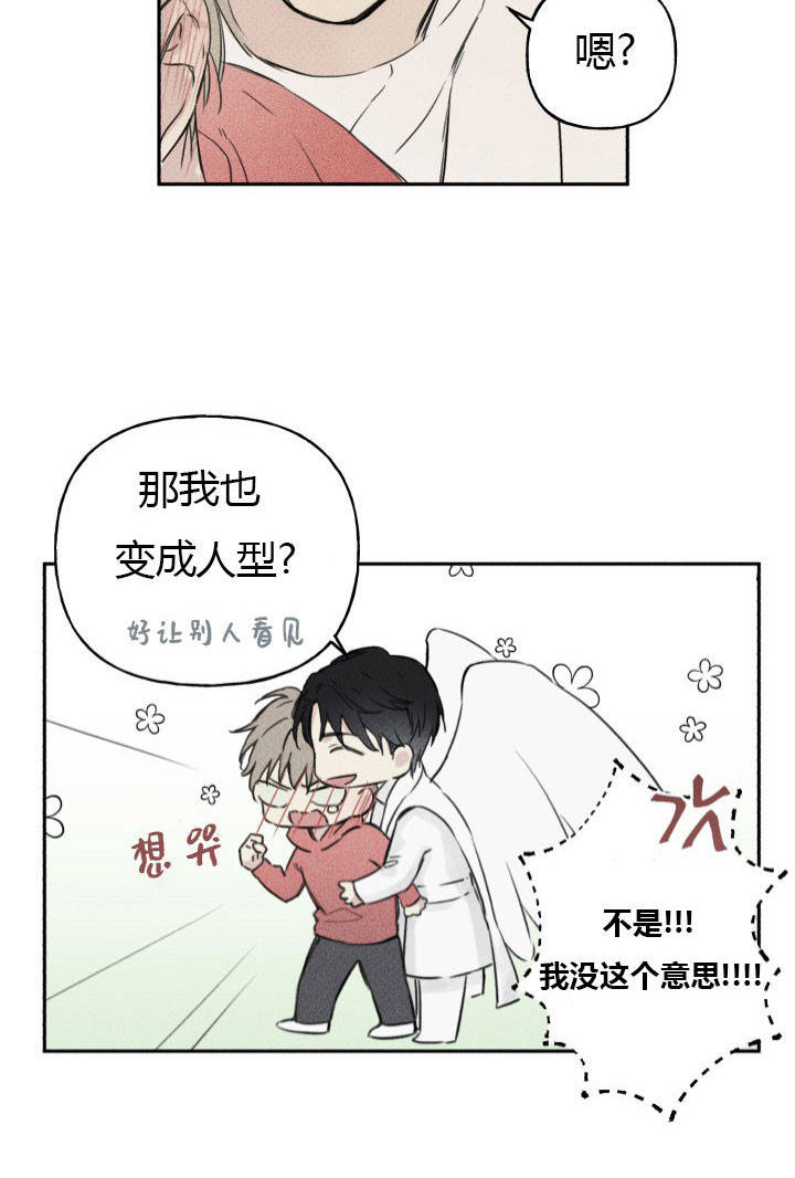 《被可爱肥啾给攻了》(完整版)(全文在线阅读)