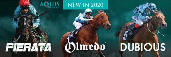 冠军|原创大陆赛马网：Aquis Farm雅士牧场再入驻一匹明星种公马“需进一步”