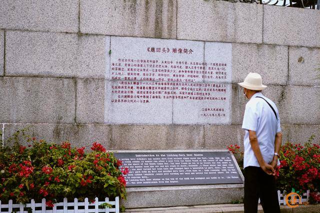 五指山有多少人口啊_孙悟空五指山(2)